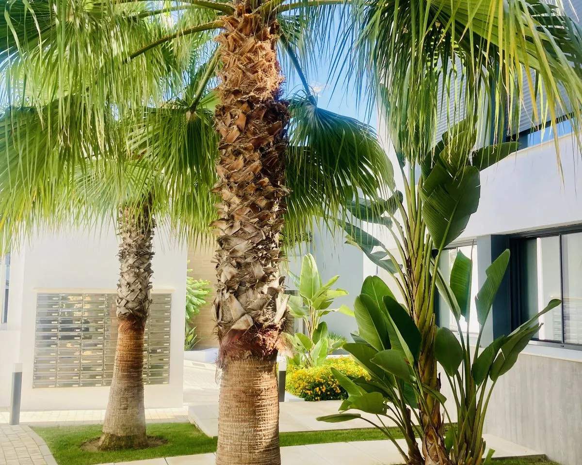 fb42f79d-a77c-4716-9816-2c65b616f3aa