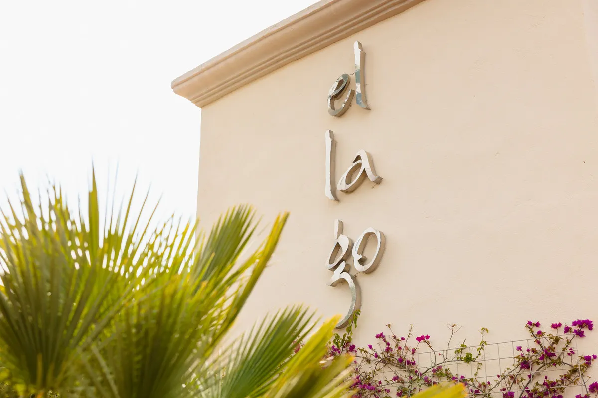 c7a2cc99-c9a7-4ebf-be07-976d43695f69