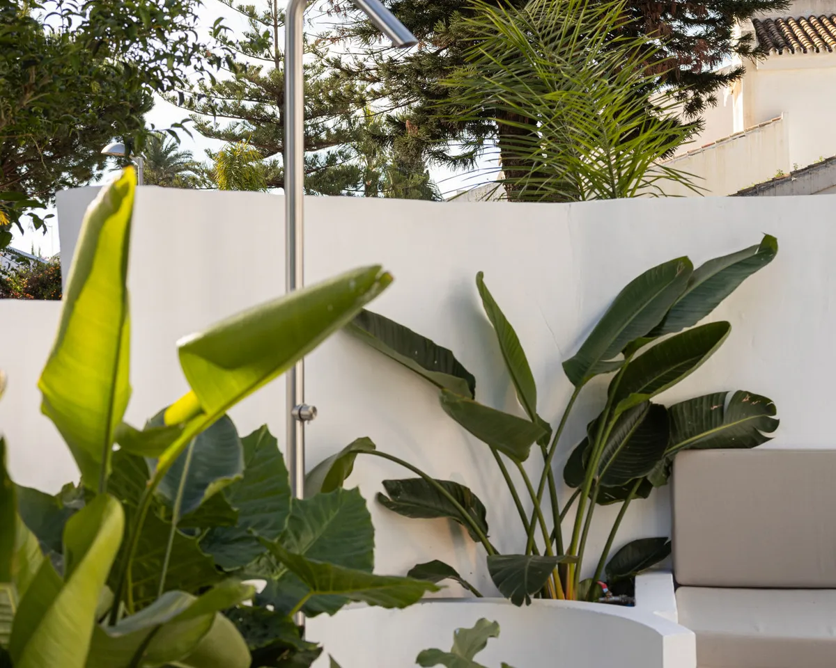 d547193d-42fc-4321-b2cd-920ebad3bc06