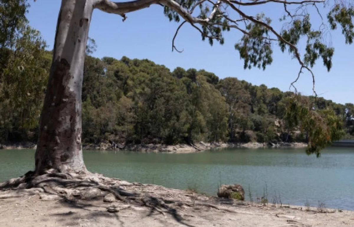 840d541b-9b66-40f6-a6f3-61a2ec4abdf3