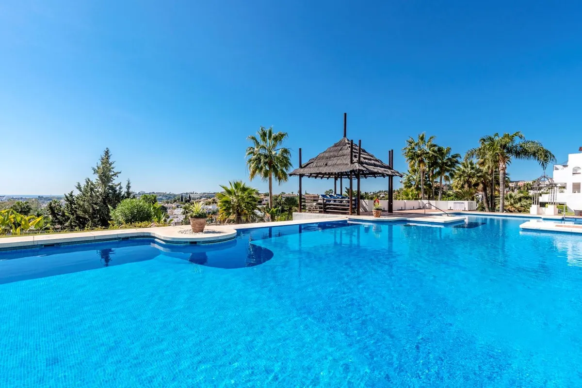 d54d11f2-18ef-44fd-bf75-b815f5c70f0a