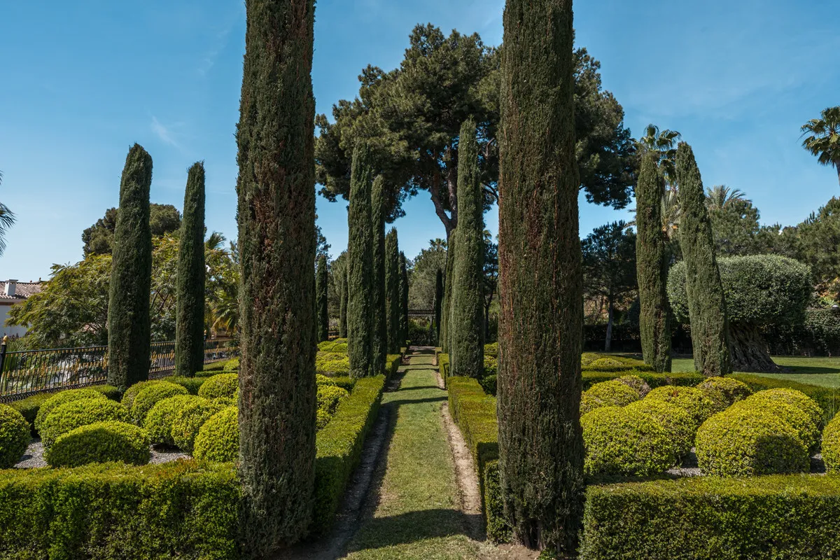 e37c88d0-ab7c-4488-8f88-8ce2c79ca401