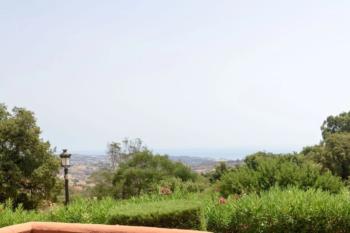 99f2dea1-9c31-4b91-a44f-46e1e62dabeb