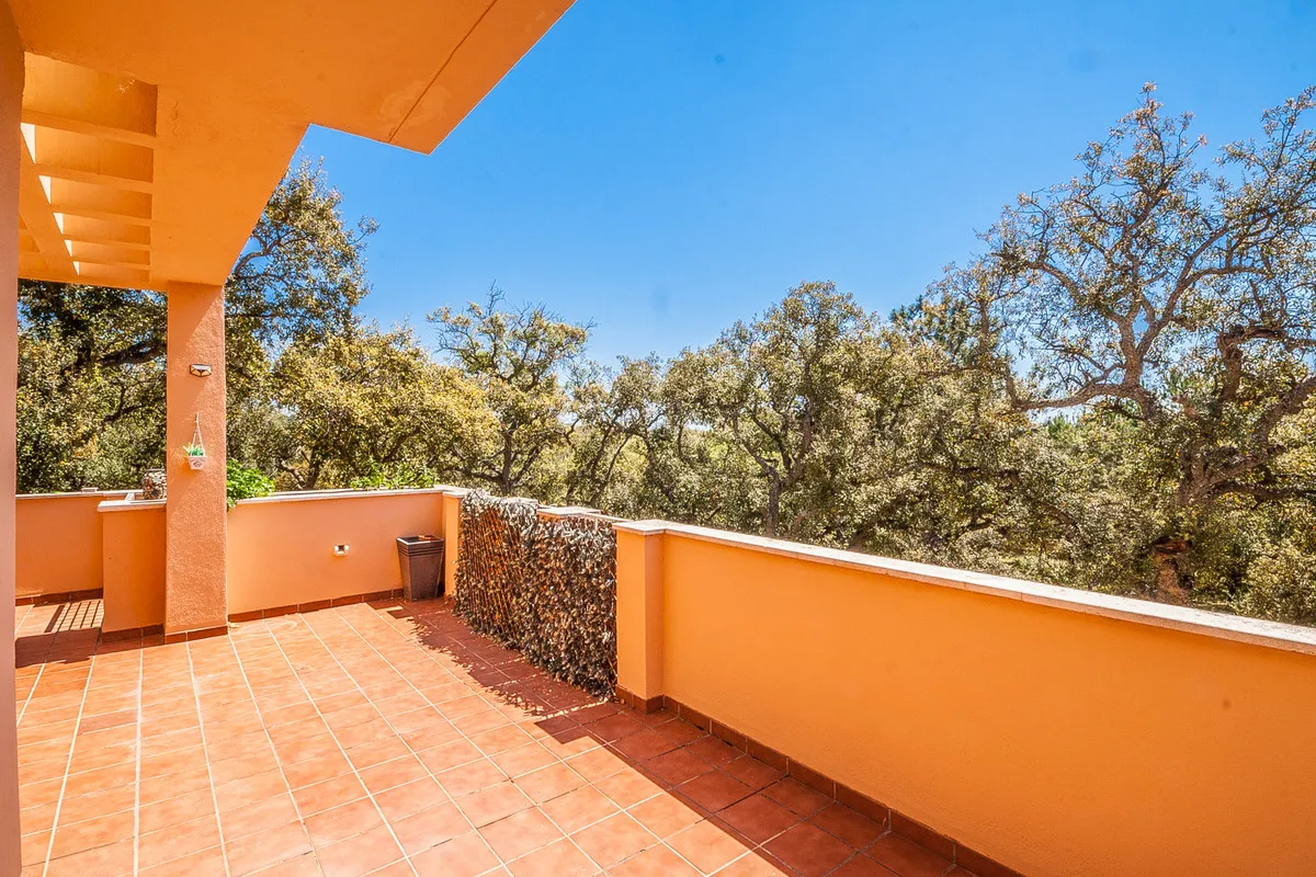 a49912ed-3185-4931-a01f-169de0ea895c