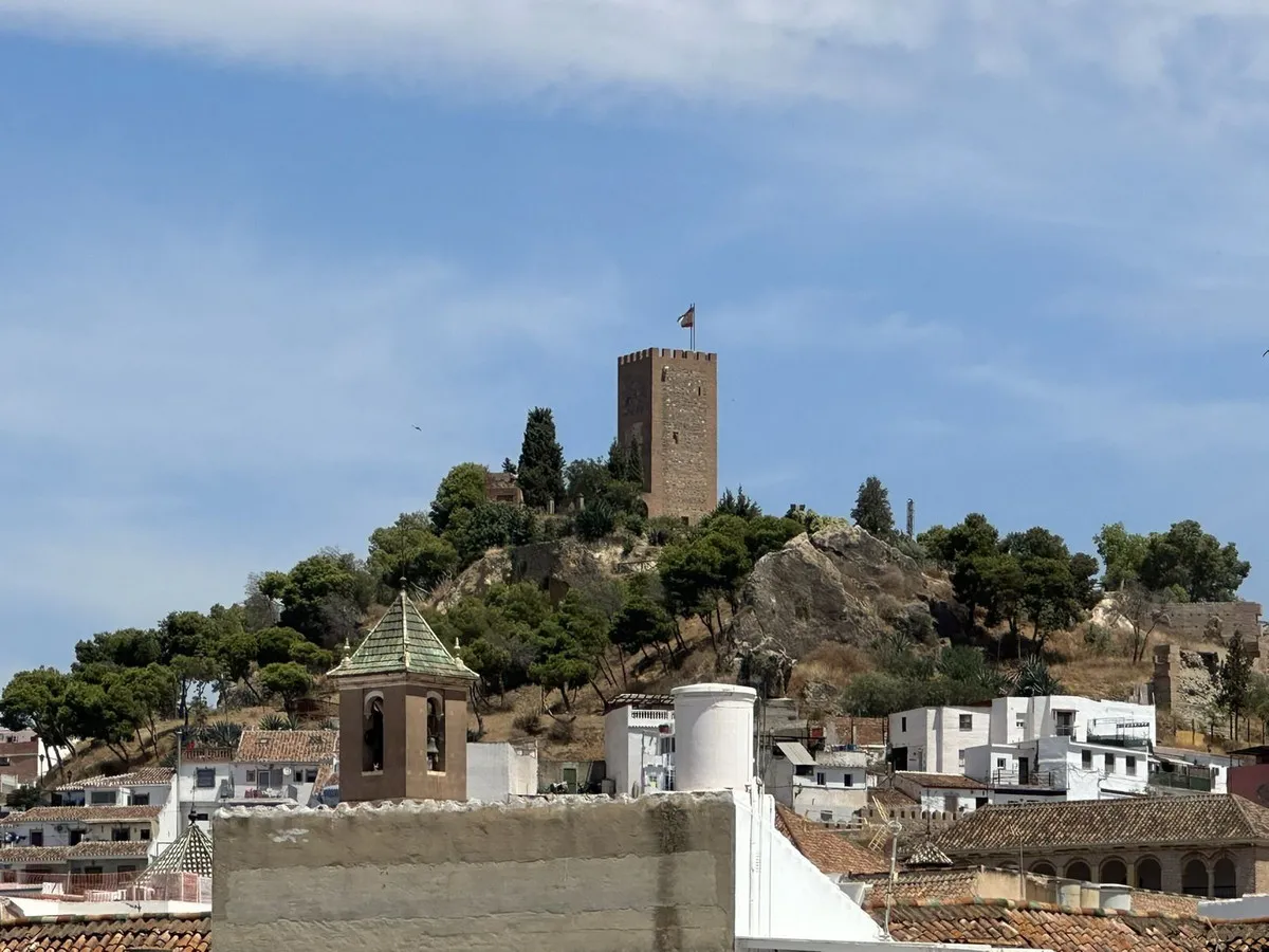 8f0ea300-4d67-4eb8-90cd-1e3d48537aad