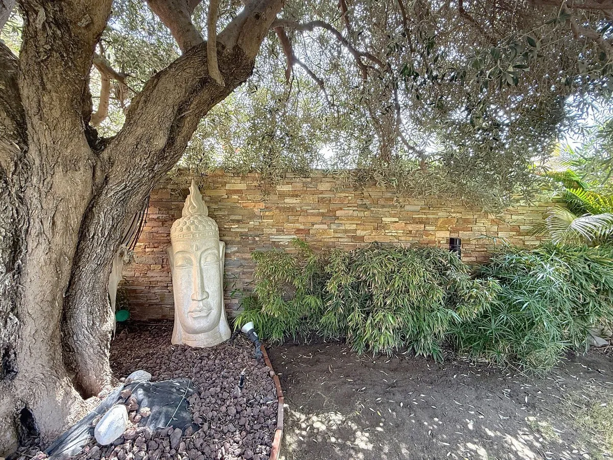 2aa7483f-35b1-4a53-9008-4f13d5aa54b4