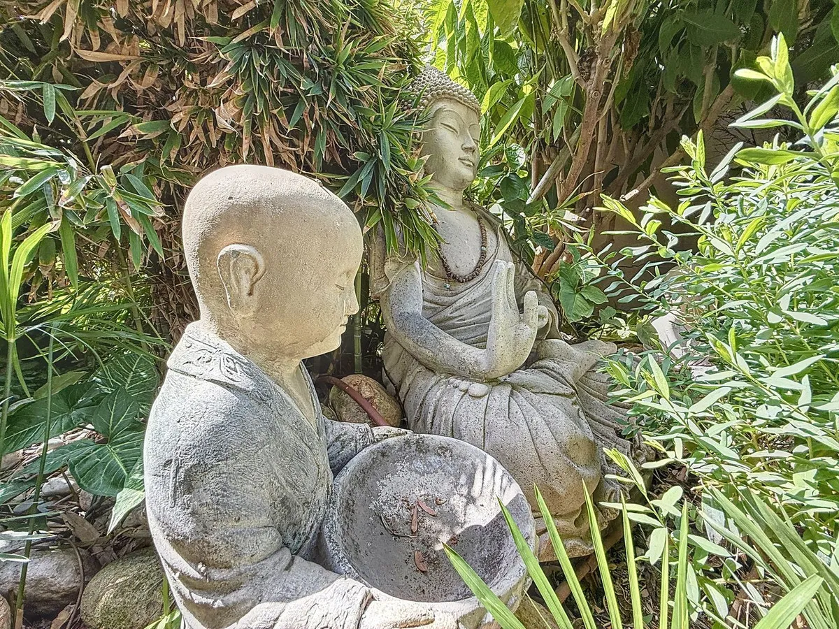 5018d555-1e17-47d2-bf05-89530e94f7bd