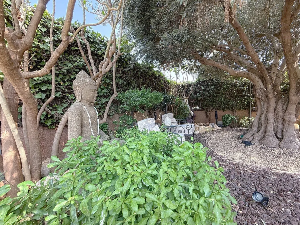 55a5ed69-d430-43d0-83e1-db77bfa681b3