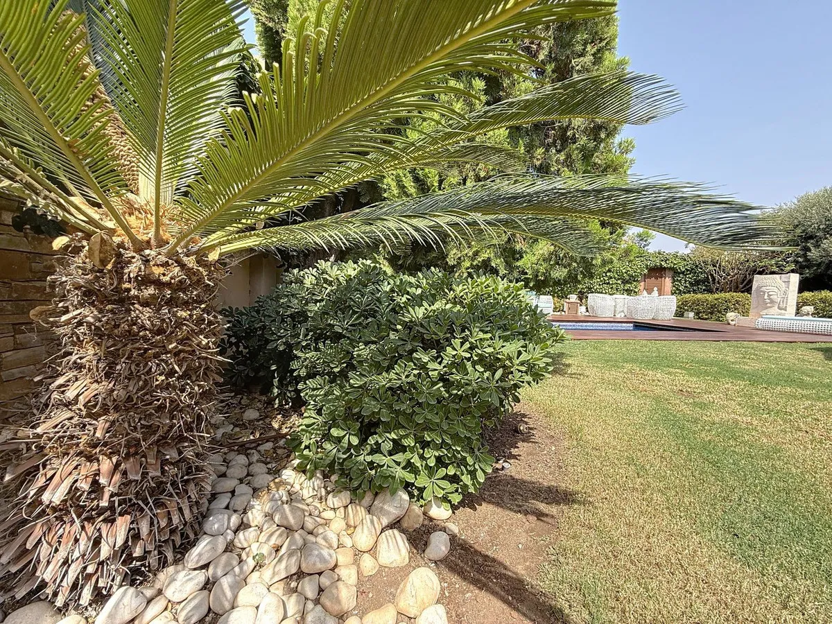 8d365693-171d-4c34-adc5-6c154d14c033