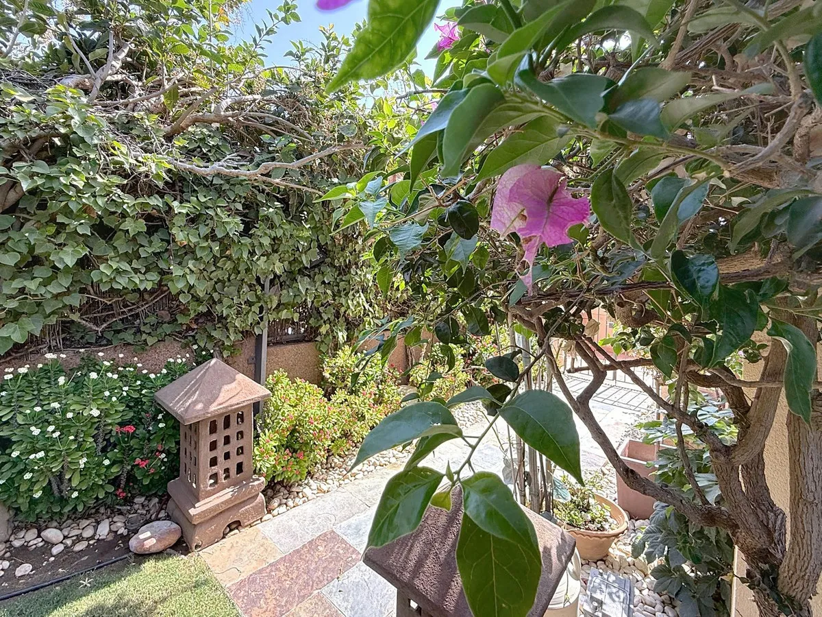 ab49632d-9b2e-474a-a7c3-60571c0c348f