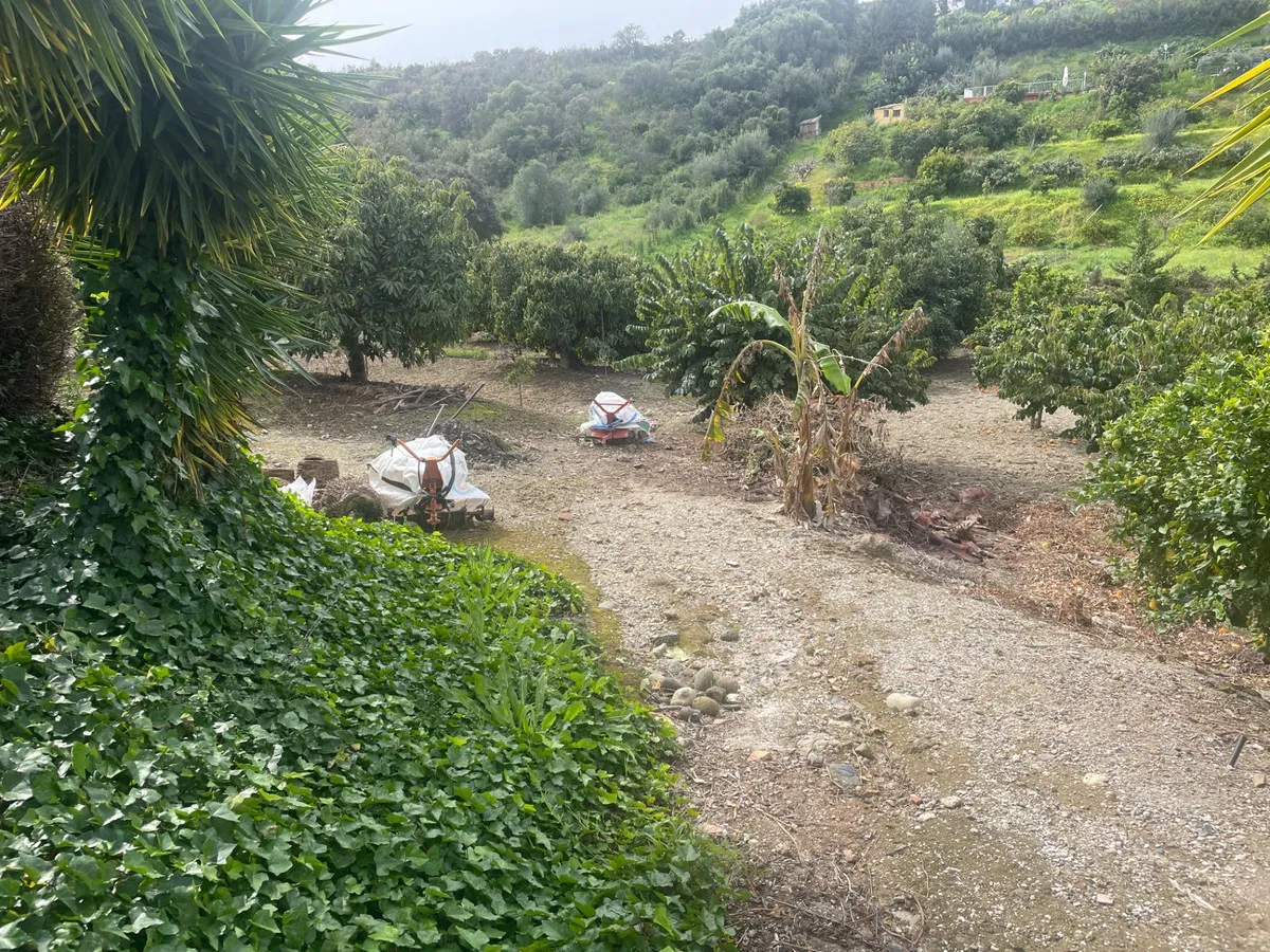 5995f708-200a-4fad-b9cc-83930fecd54d