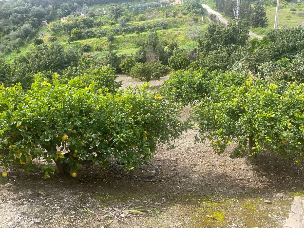 c788700b-4f3b-4eb9-a513-702ef200b08c