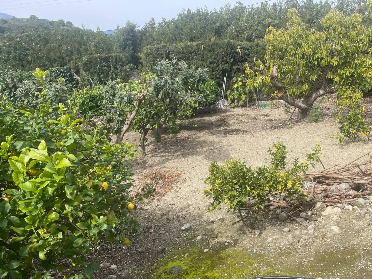 d6d9480f-2229-47c4-92ad-889bbde921a7