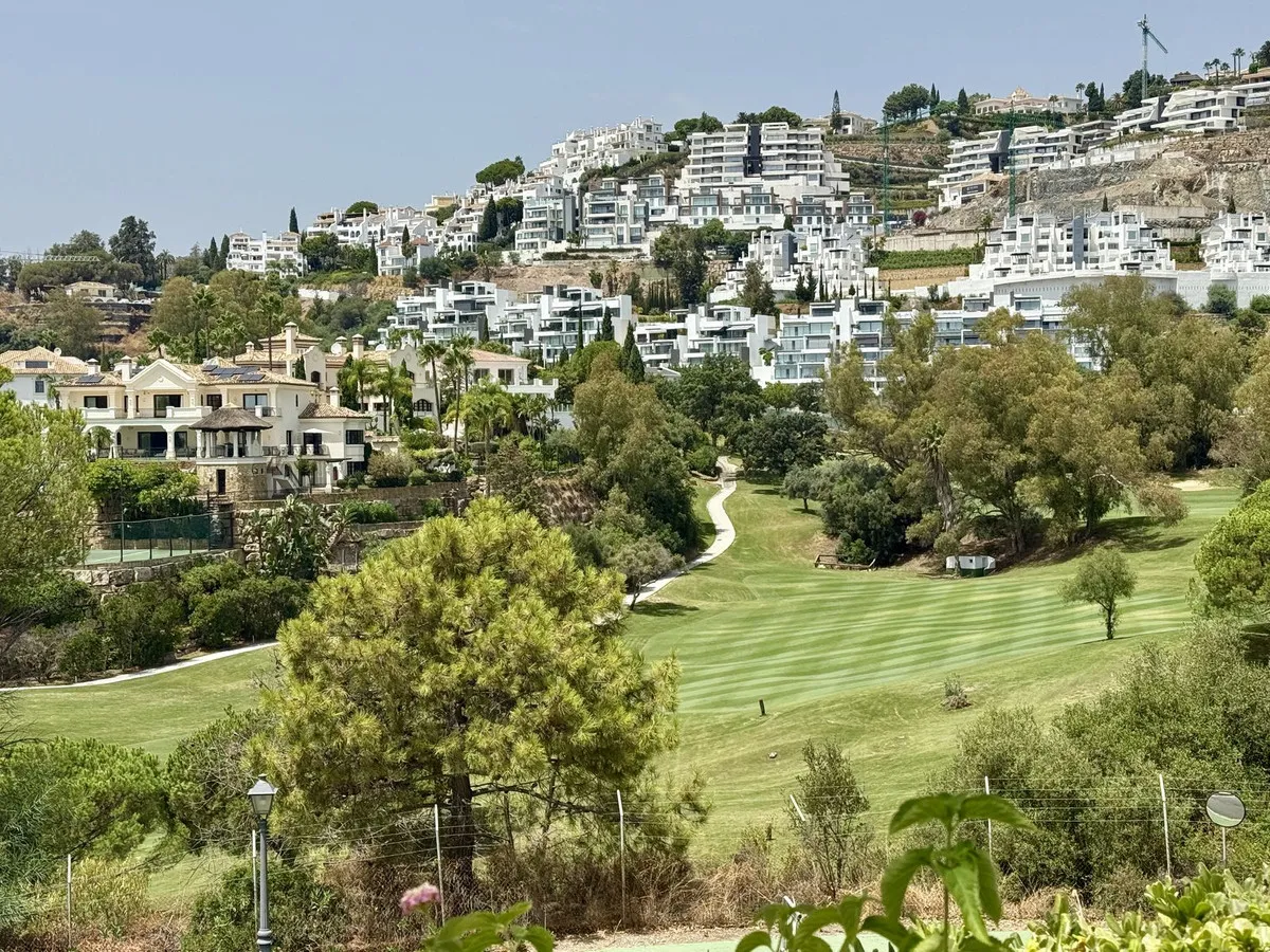 fae7cf35-cc04-4f07-8a5b-3d2ecf70fd42