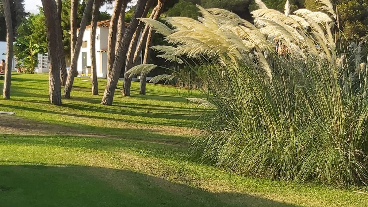 ca593ef1-0e35-46cb-846a-5236cd518d2b