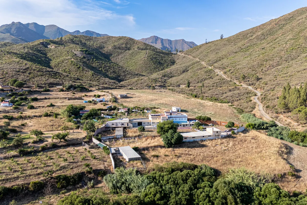 36b63c30-7534-4646-981d-7894b5514976