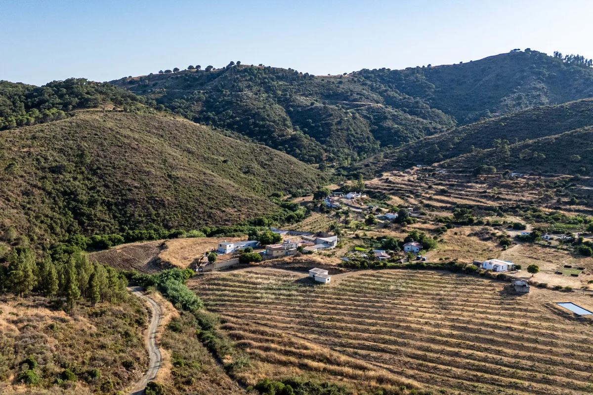 994f34ae-96b4-4650-97ca-62eee85b4651