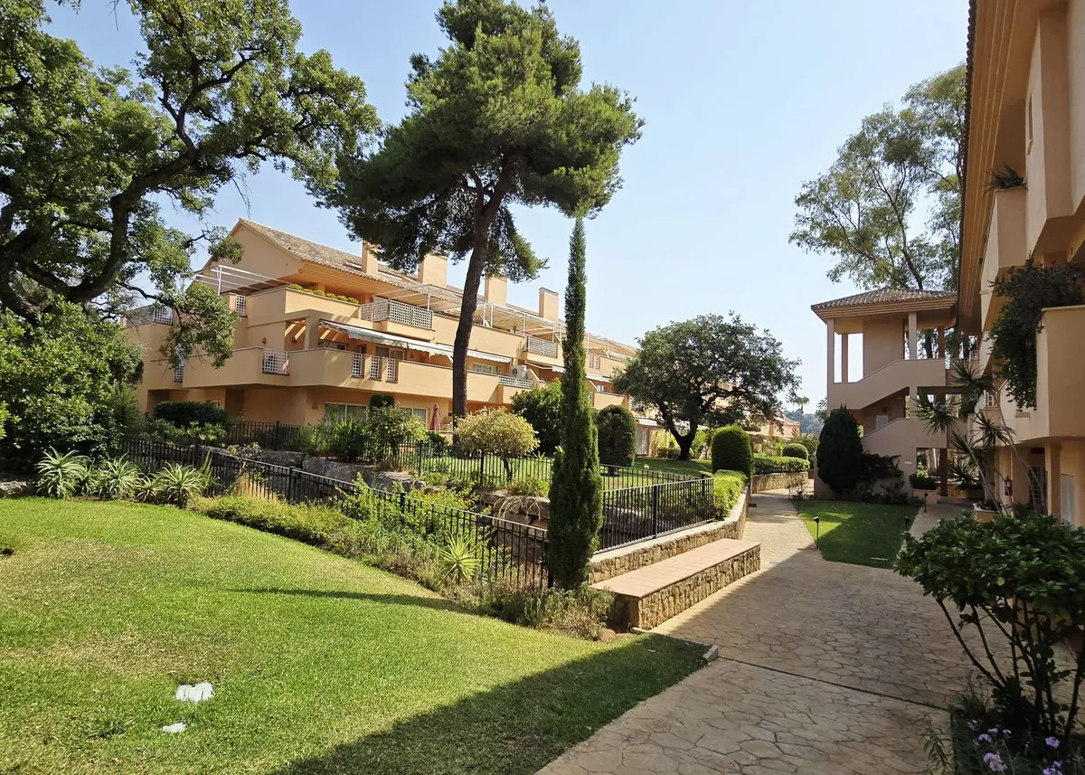 76d9d386-7c4d-439e-ab52-d79f5e7740f1