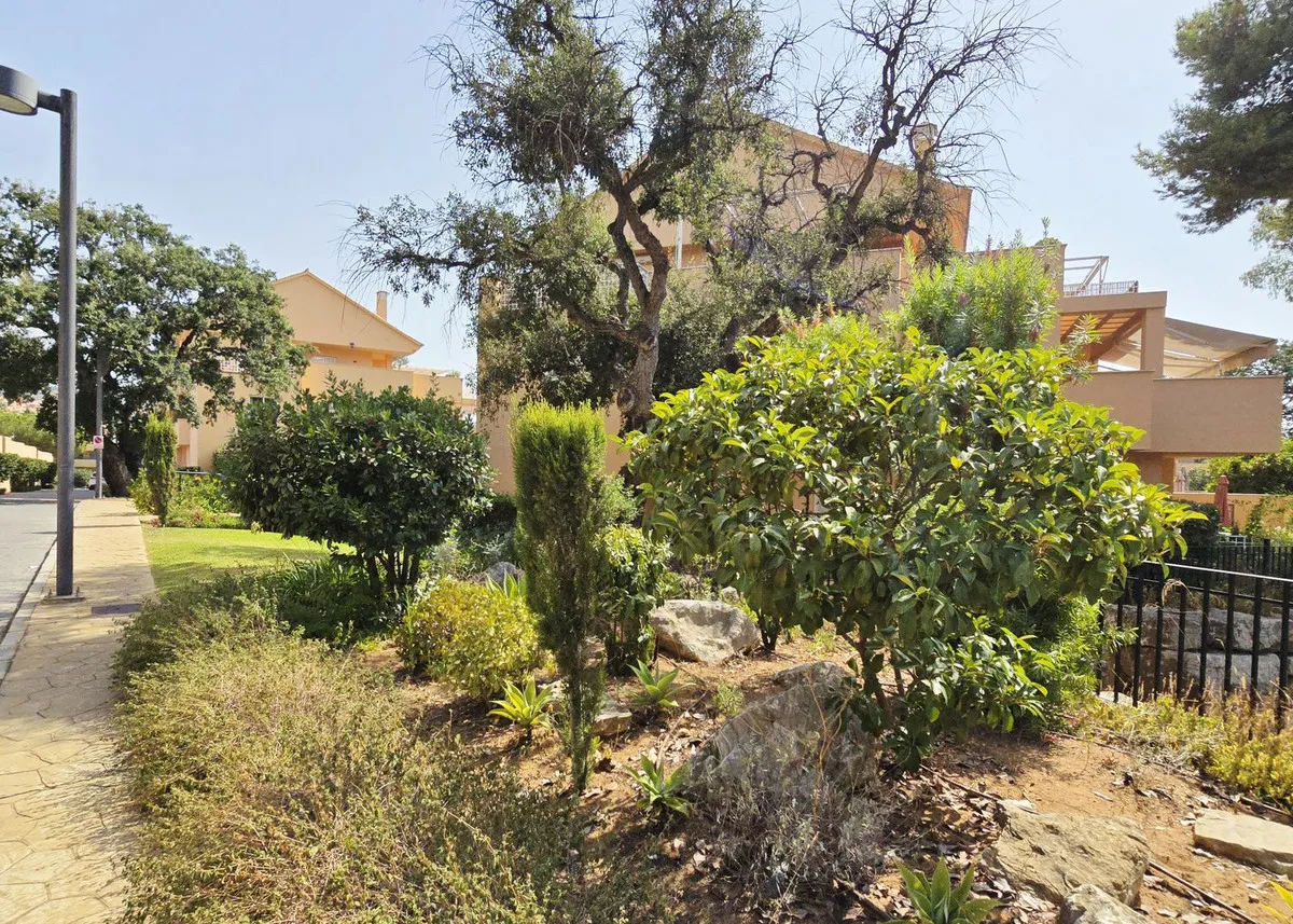 e9ff08bd-ea74-41bc-9dc2-5c003dcd425c