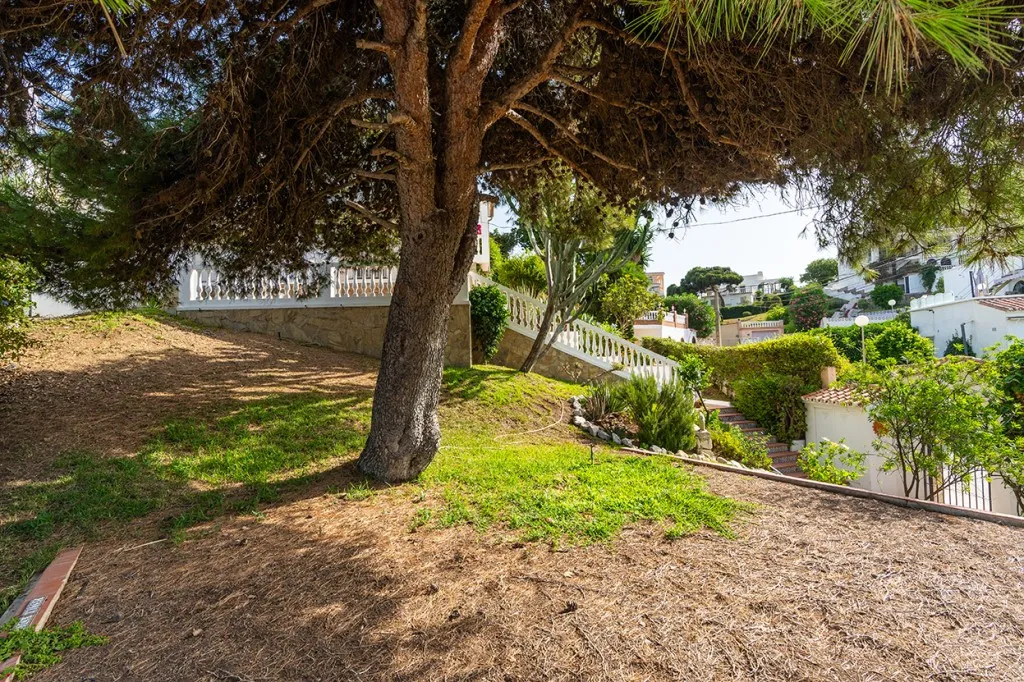 4e044aa8-2186-4ffa-a806-5e16600b5042