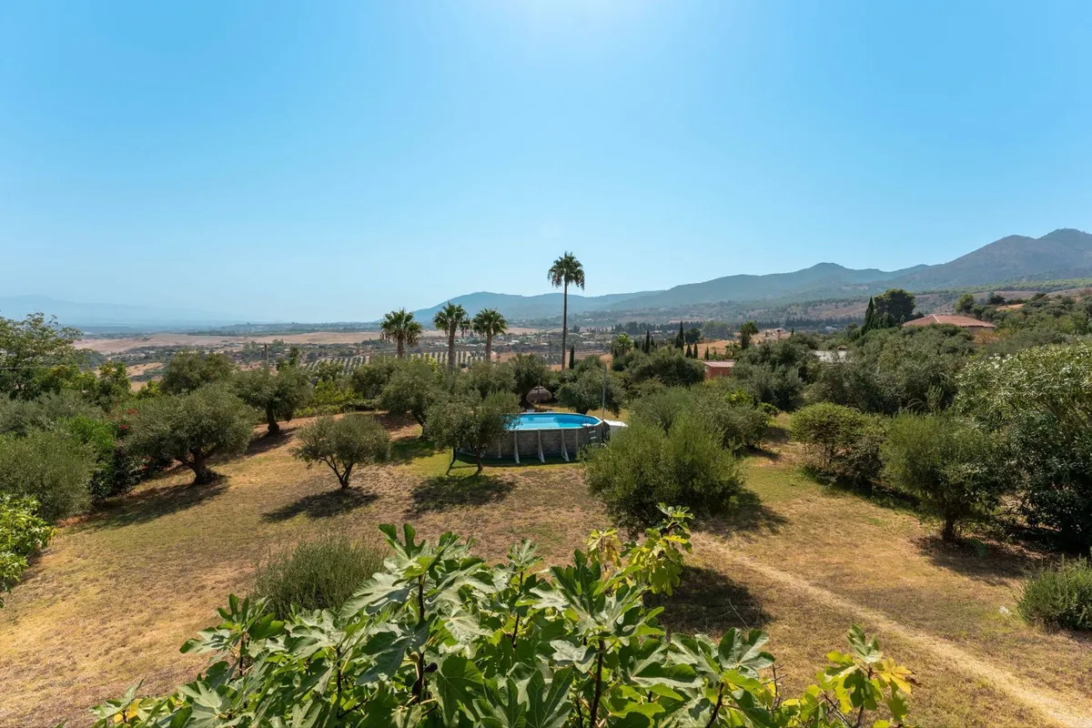 ca363409-085e-48b3-82ff-4fb768dbee8f