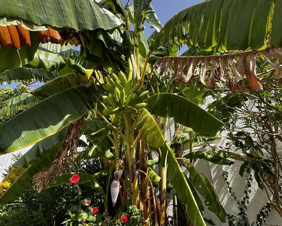 773a0c7d-d7c7-44b3-9b9e-8c795af3a3f1