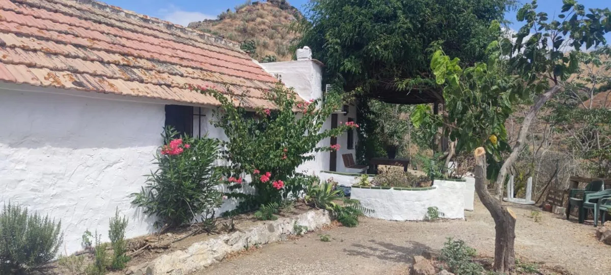 5f32468d-082c-4dc4-8e4a-b8e915f7b781