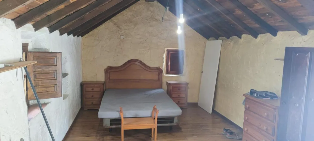 8e9d66c2-488b-4ef2-9cb0-7f419cf54e8b