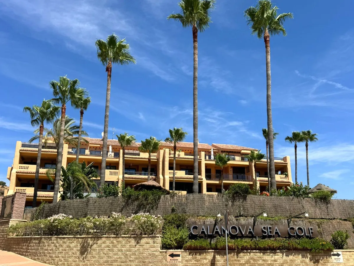 18438db8-55b8-4663-875f-502aa3123696