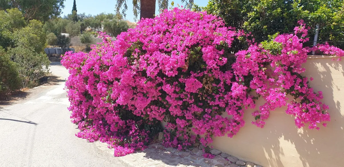 82f8a37a-198c-4cbf-ad7f-cd8a313fe719