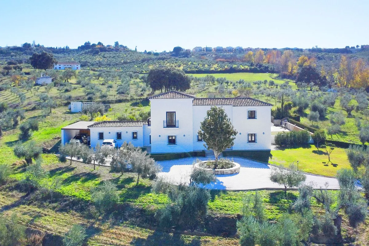 43c6dd47-655c-40e2-b588-be7311e92a4f