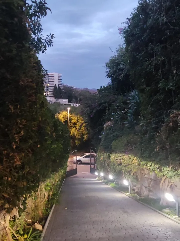 8625280c-9ea5-4745-962a-02ee3ed64f12