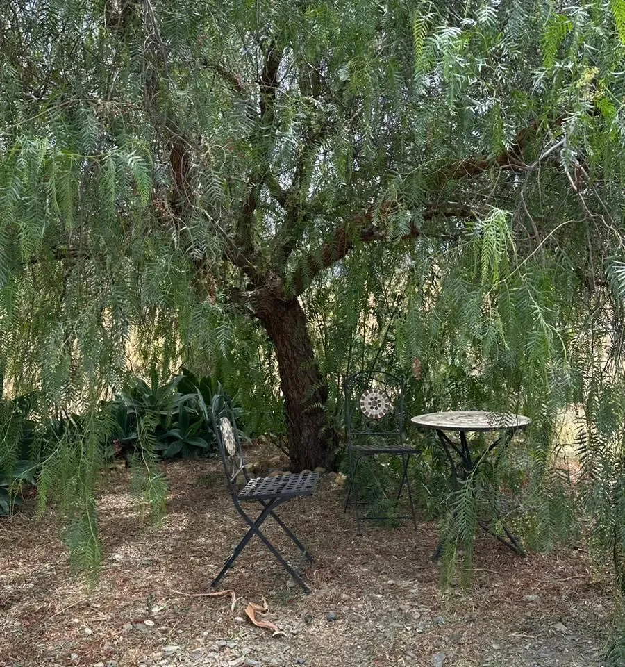 b8a427a2-cb19-4b72-98d6-fb4dec479ed8