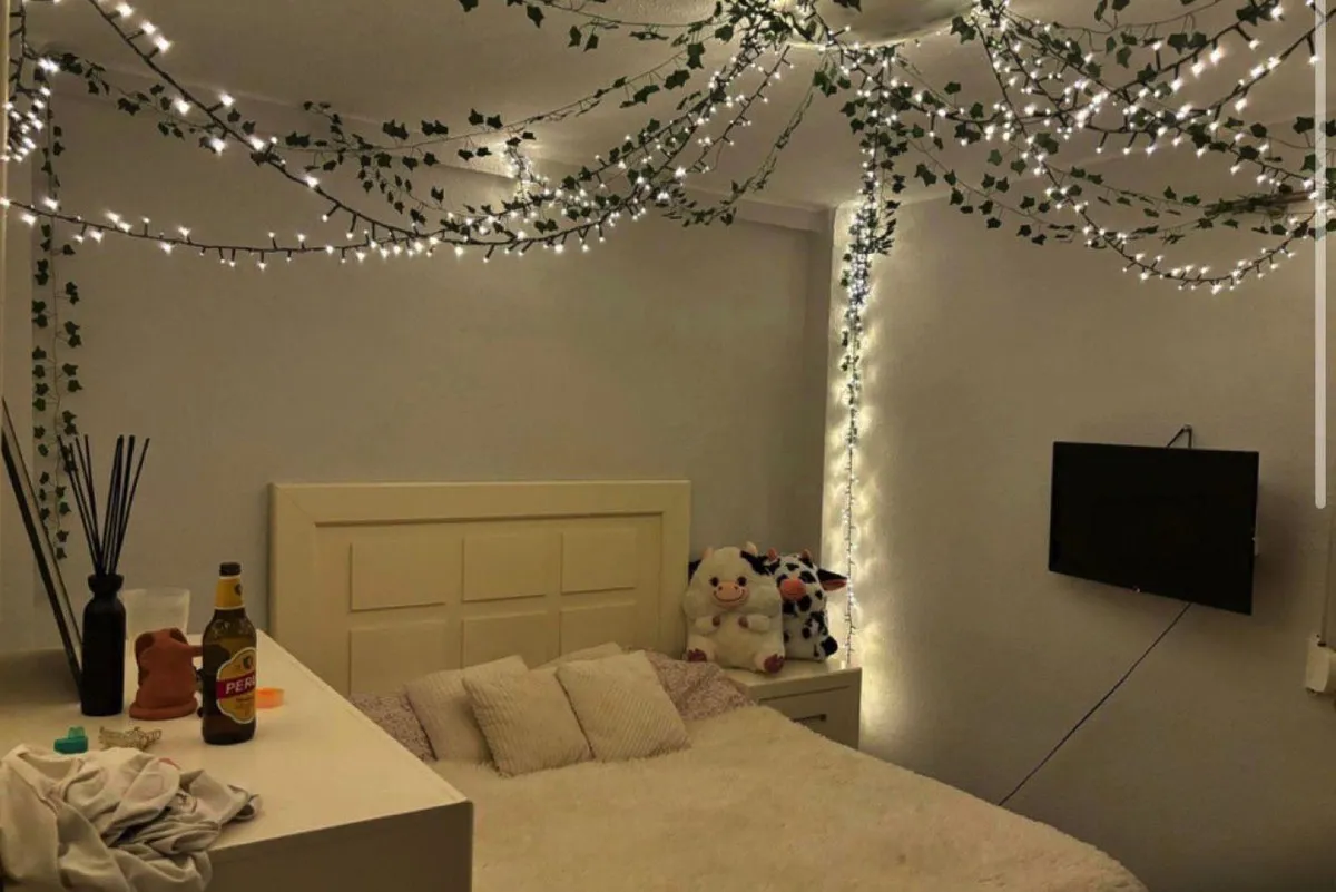 26124e10-aa61-4265-b851-fb4e478169fd