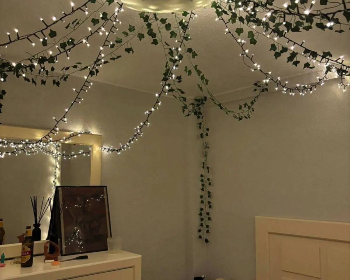 b2a13768-e756-42dc-8c0e-142d432cdaf2