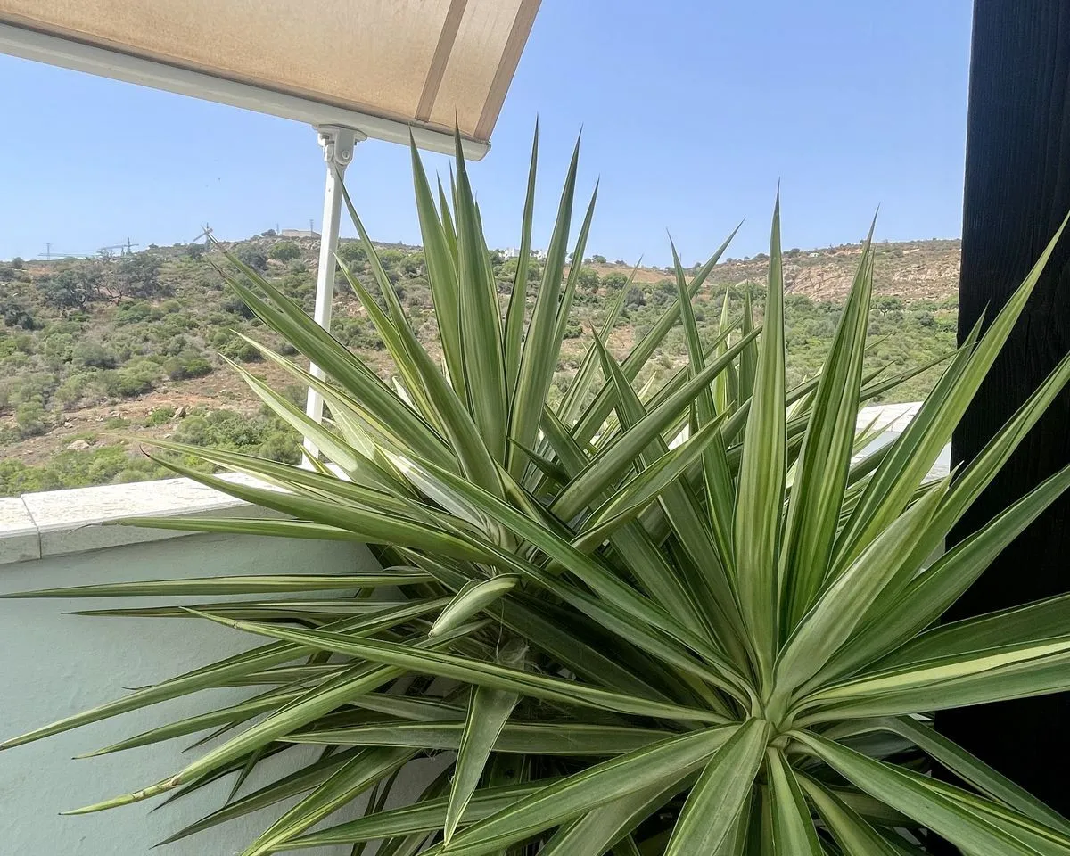 58f3e136-add4-4f1e-9324-4784001fc298