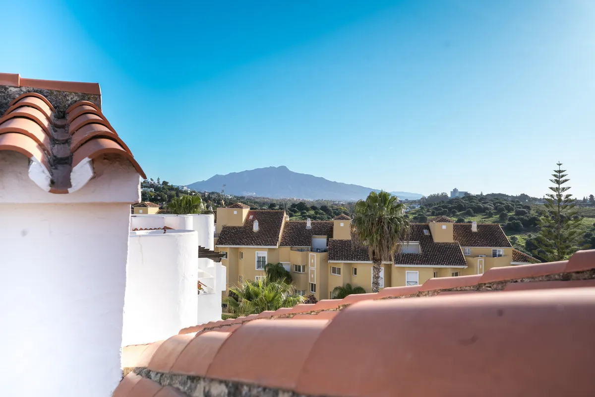 e0019338-39ed-4754-8376-980245a3d5f1