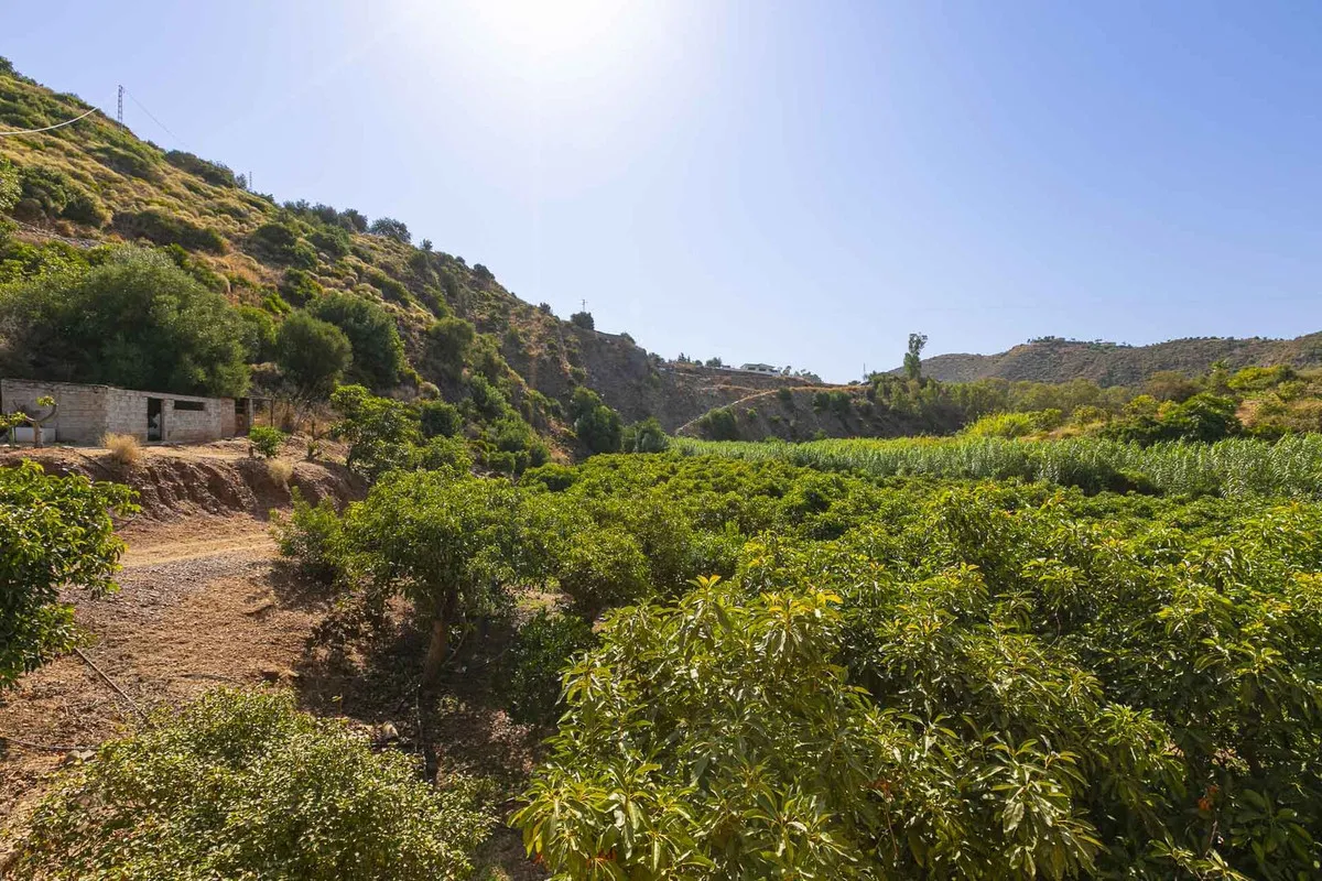 77430970-db38-4371-86b1-f32bc05a28c9