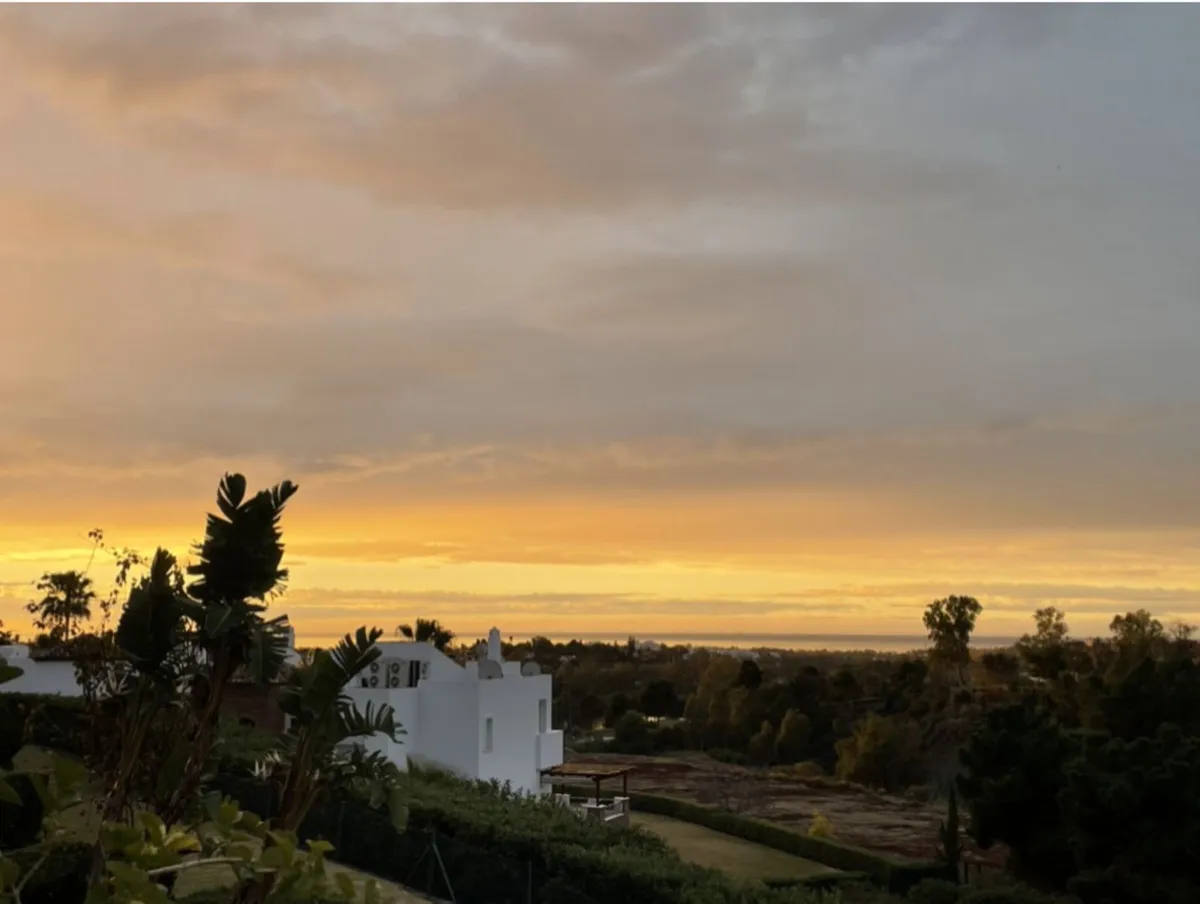 565631c5-cb9b-4a80-8019-4bd1f72d6126