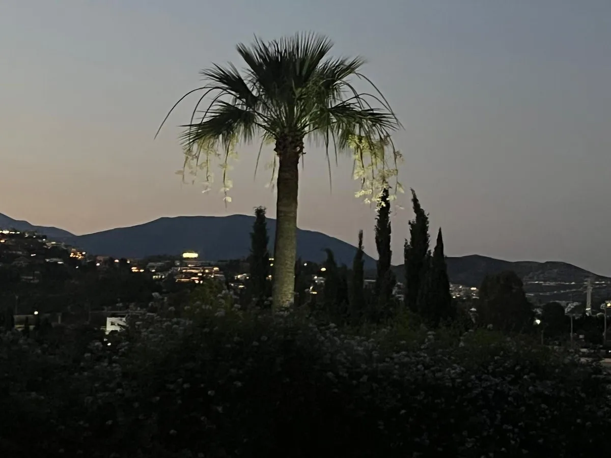 a449cf28-d4e1-4eff-9d4f-6e587b893060