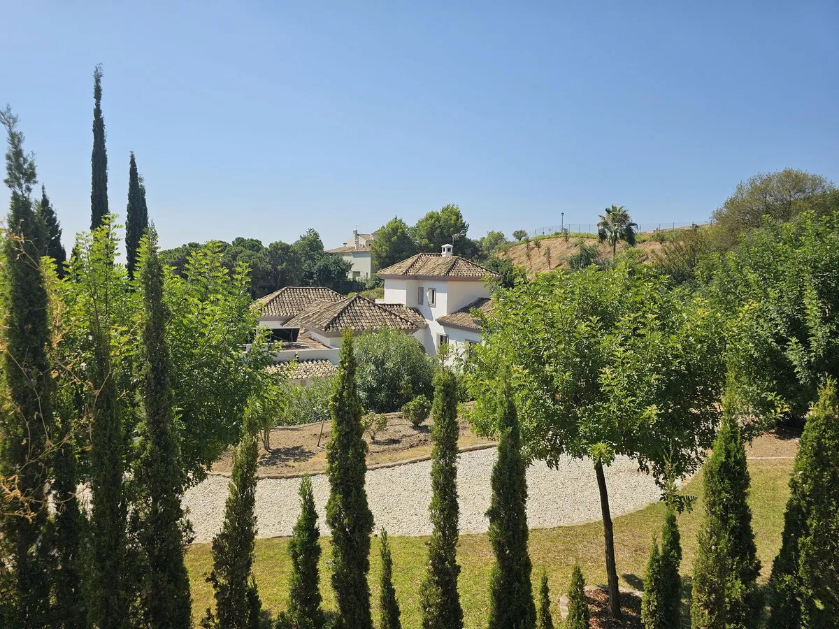 e083a515-77a5-4b8f-adab-4ac8637fa883