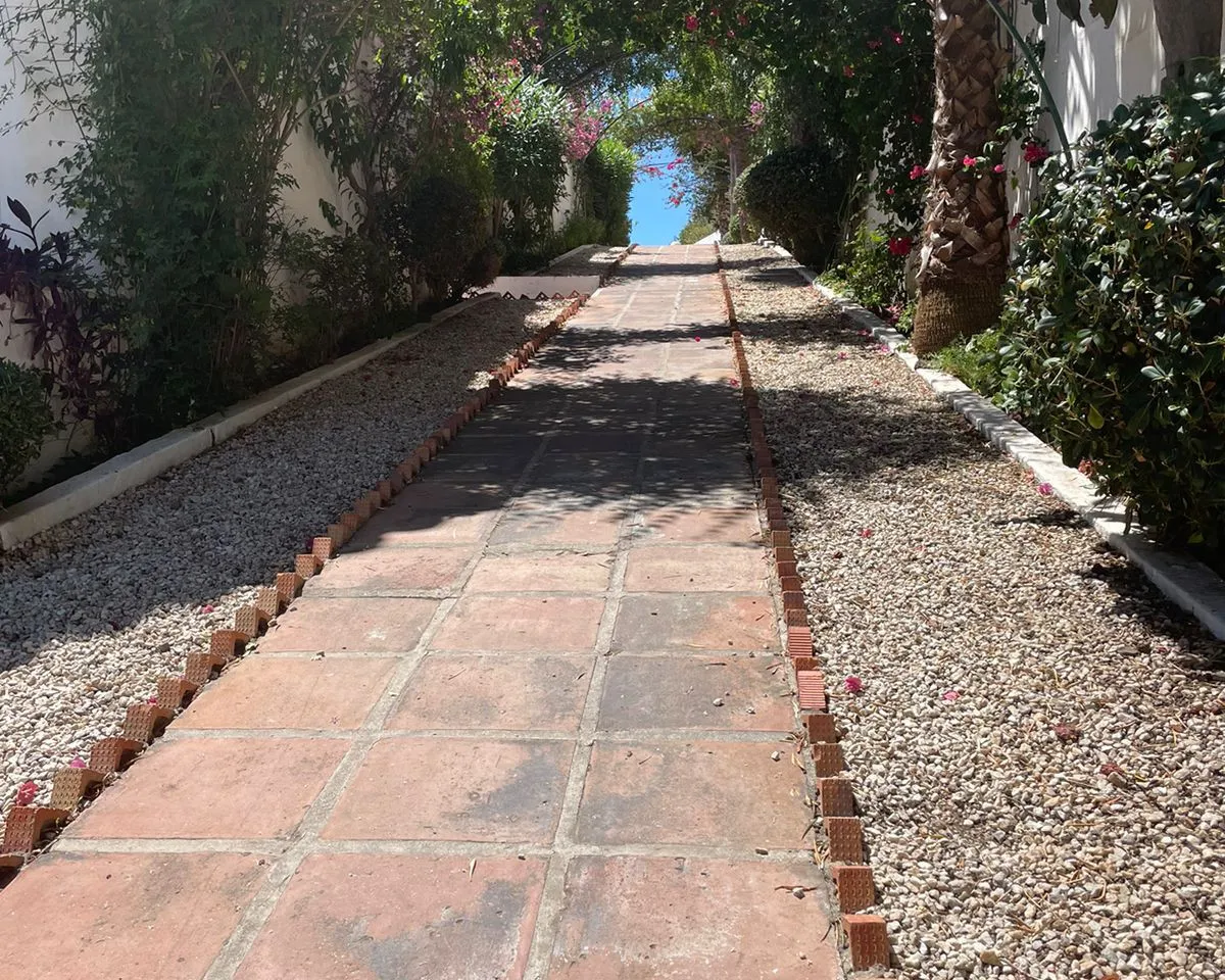 523d9362-dbd5-46ef-b9a1-3a622fc5b73c