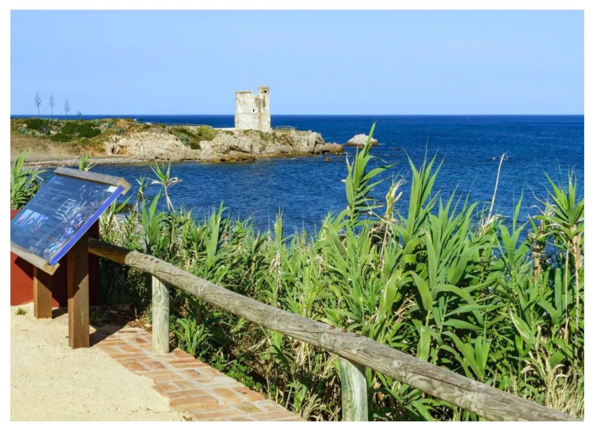 dd5e7907-156e-4bd8-a245-c4d0965ba202