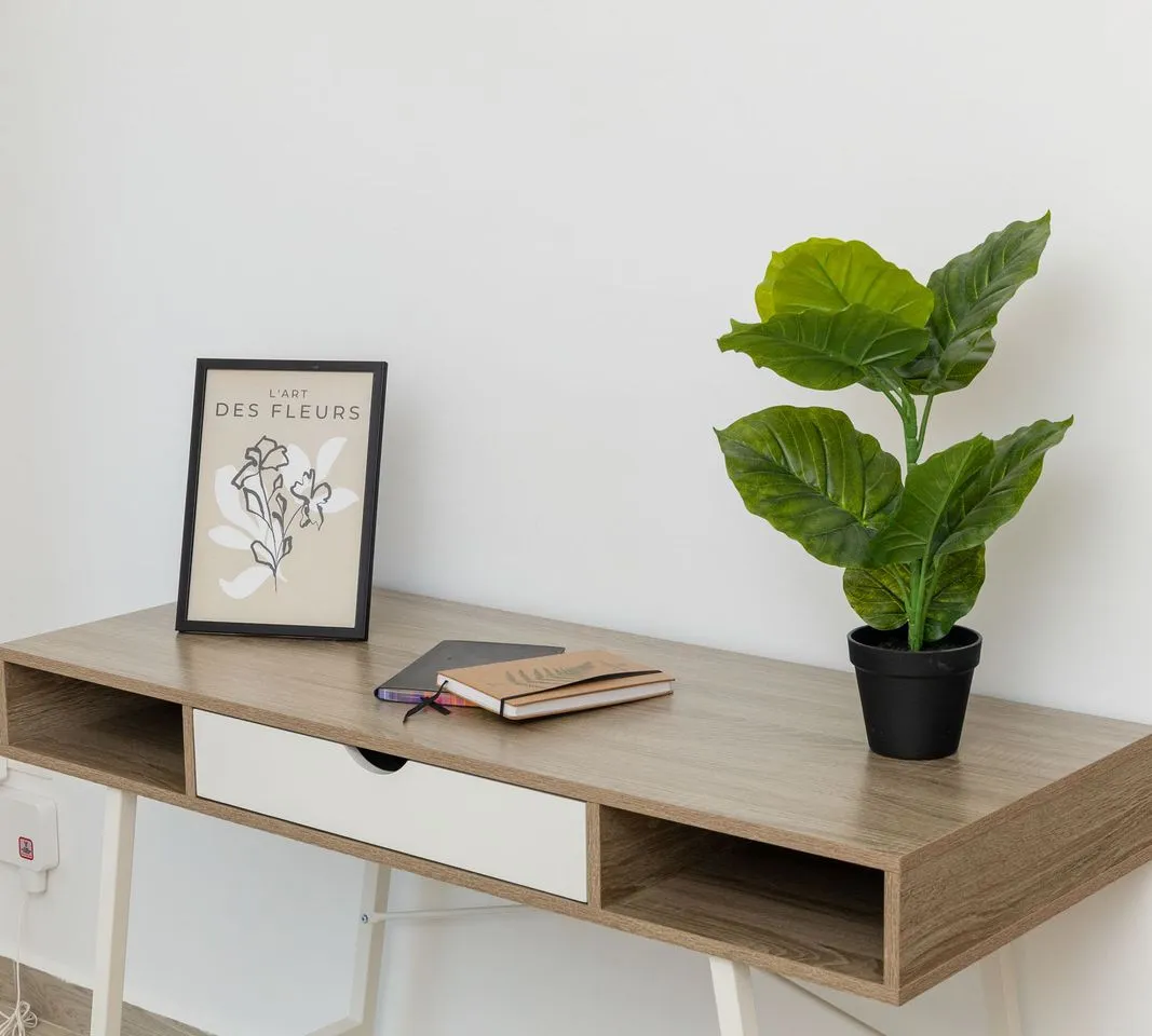 2c5c911d-964e-4ed1-8cb9-bea8b36440cd