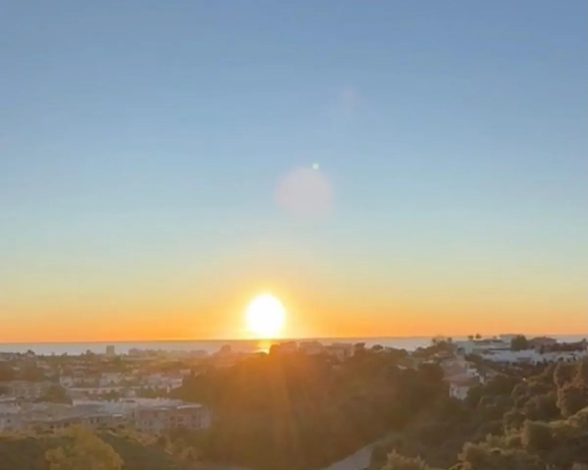 353e54e4-b95b-4204-9329-cdf262f46732