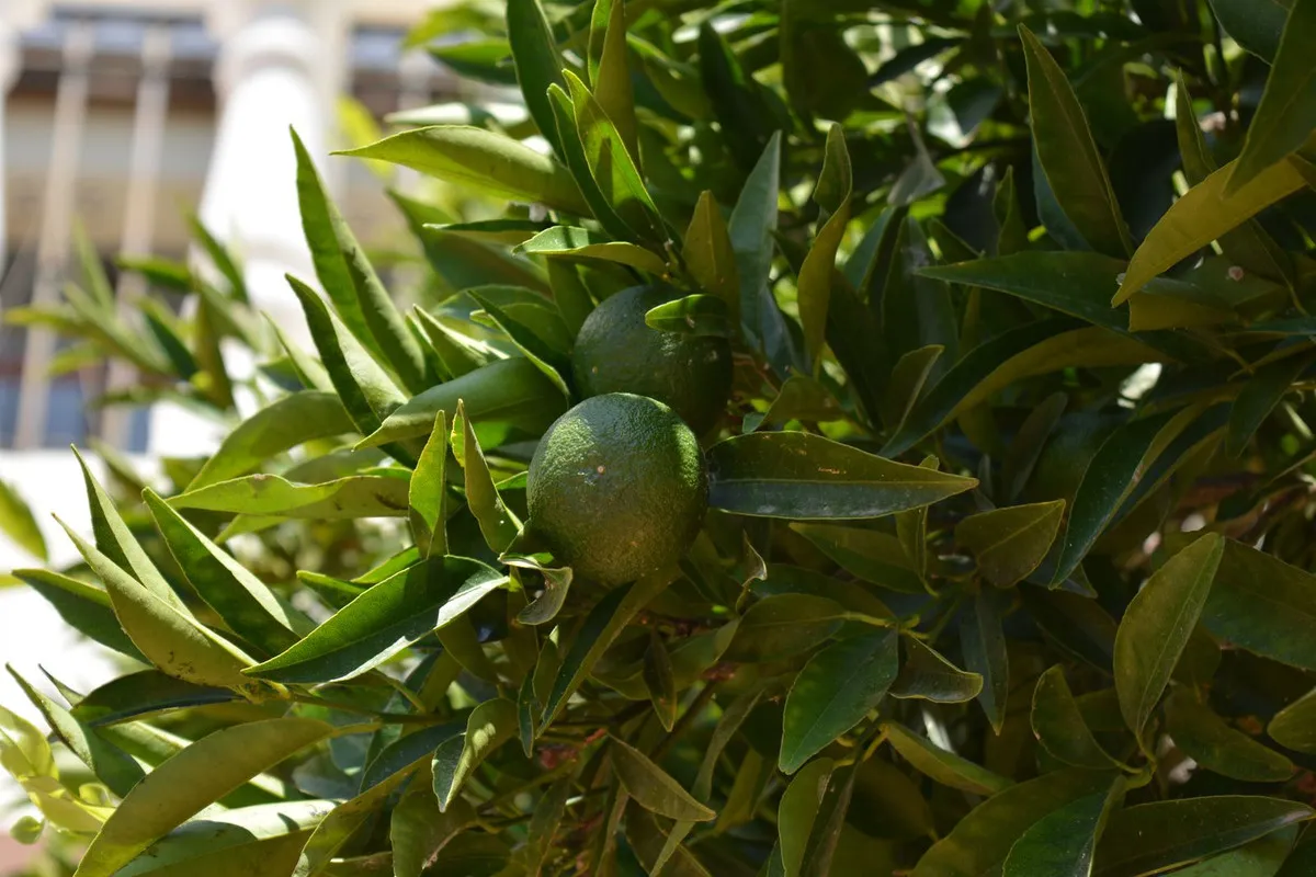 68e7ff8b-e7c3-4f88-a7c6-78d2ad6c0bee