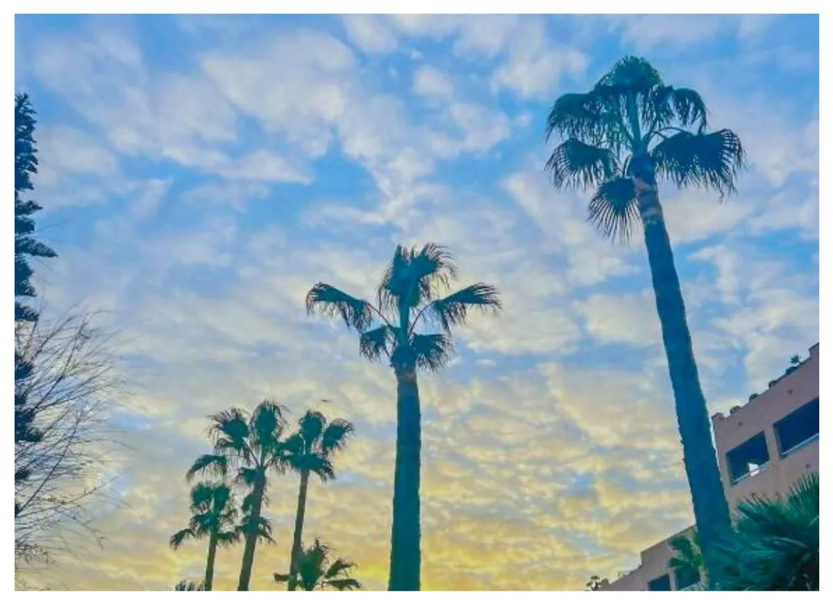 3a509da6-e306-476b-b0ff-6409090832d2