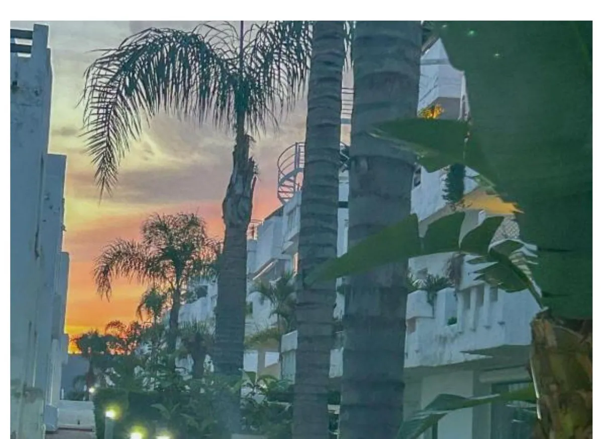 4d97ea7c-1344-495b-957f-9cda002f760c