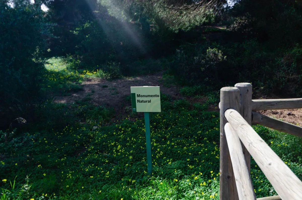 1e53f6e7-1efe-4d09-9da3-3648105b863d