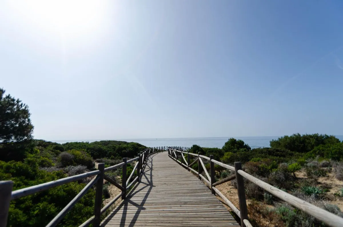 95da1ecd-ca64-48dc-9e26-03ef3e84a20b